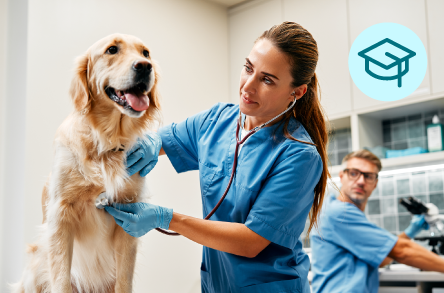 Vet Assistant Assistant Program