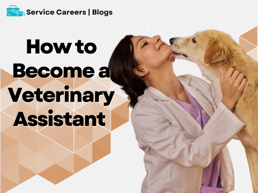 how to become a Vet Assistant