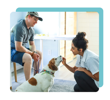 Veterinary Assistant Outlook